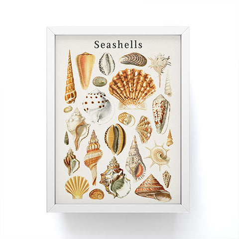 Gal Design Seashells Collection Framed Mini Art Print