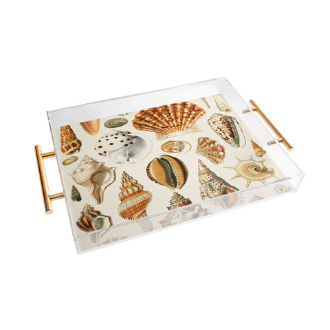 Gal Design Seashells Collection Acrylic Tray