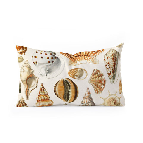 Gal Design Seashells Collection Oblong Throw Pillow