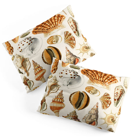 Gal Design Seashells Collection Pillow Shams