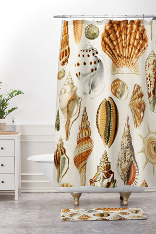 Gal Design Seashells Collection Shower Curtain And Mat