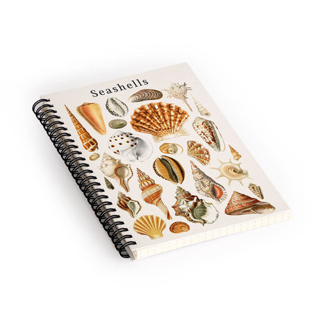 Gal Design Seashells Collection Spiral Notebook