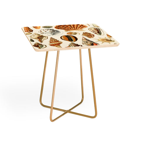Gal Design Seashells Collection Side Table