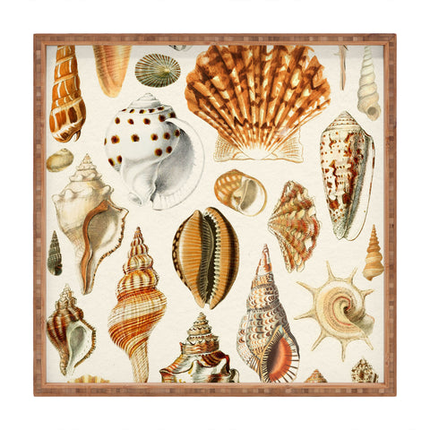 Gal Design Seashells Collection Square Tray