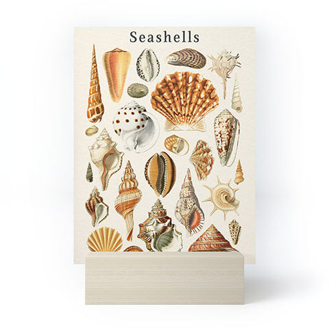 Gal Design Seashells Collection Mini Art Print
