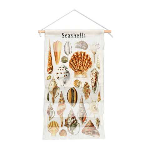 Gal Design Seashells Collection Wall Hanging Portrait