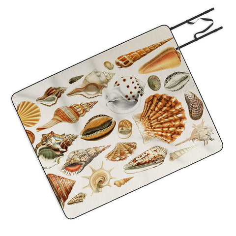 Gal Design Seashells Collection Picnic Blanket