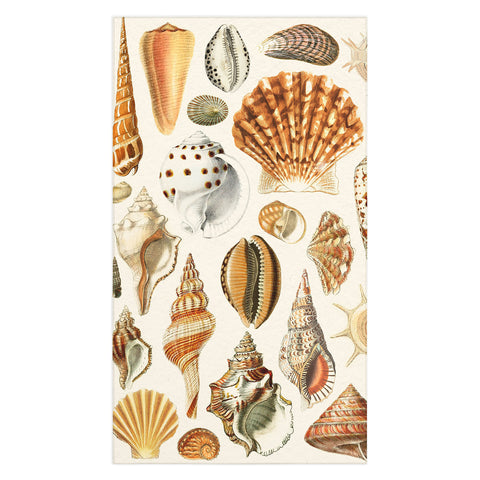 Gal Design Seashells Collection Tablecloth