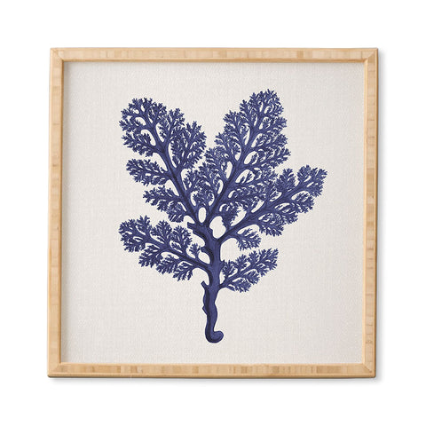 Gal Design Seaweed 2 Framed Wall Art
