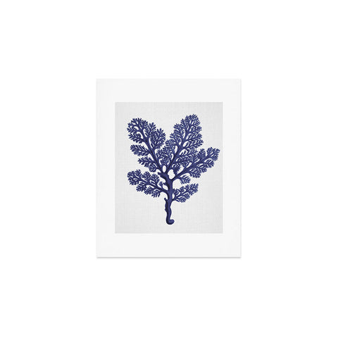 Gal Design Seaweed 2 Art Print