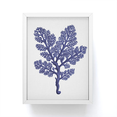 Gal Design Seaweed 2 Framed Mini Art Print