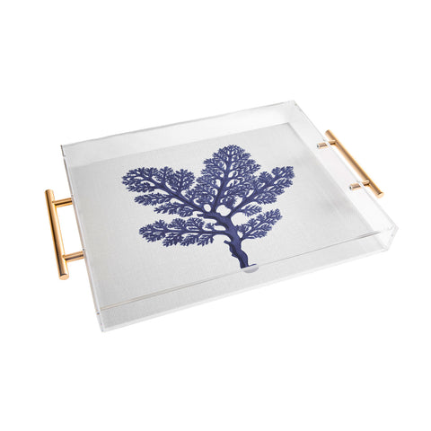 Gal Design Seaweed 2 Acrylic Tray