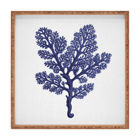 Gal Design Seaweed 2 Square Tray