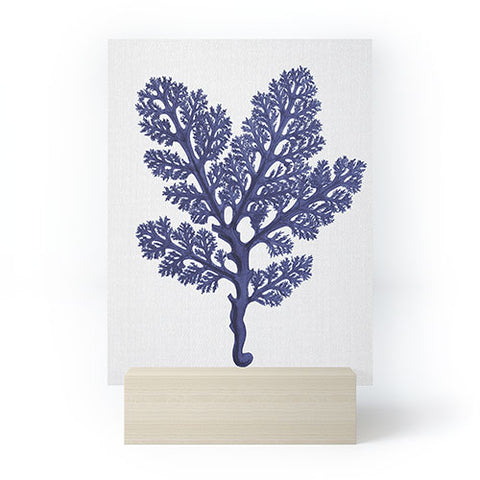 Gal Design Seaweed 2 Mini Art Print
