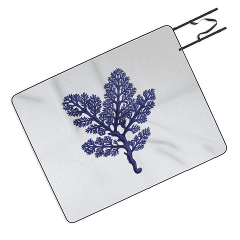 Gal Design Seaweed 2 Picnic Blanket