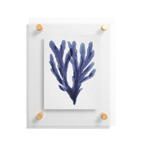 Gal Design Seaweed 6 Floating Acrylic Print