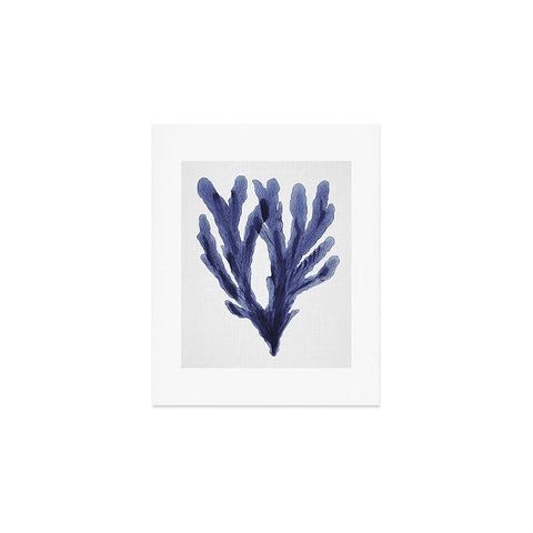 Gal Design Seaweed 6 Art Print