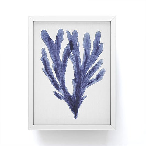 Gal Design Seaweed 6 Framed Mini Art Print
