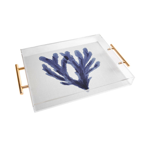 Gal Design Seaweed 6 Acrylic Tray