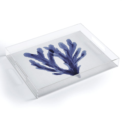 Gal Design Seaweed 6 Acrylic Tray