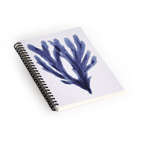 Gal Design Seaweed 6 Spiral Notebook