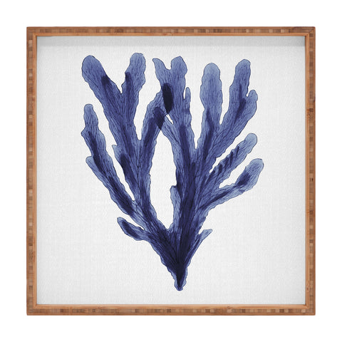 Gal Design Seaweed 6 Square Tray