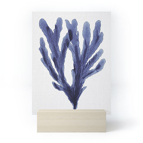 Gal Design Seaweed 6 Mini Art Print