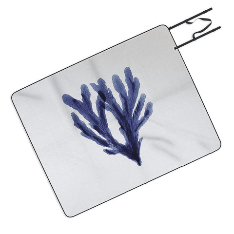 Gal Design Seaweed 6 Picnic Blanket