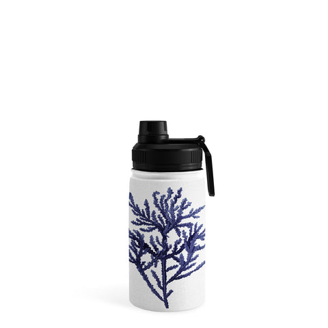 Gal Design Seaweed 8 Water Bottle