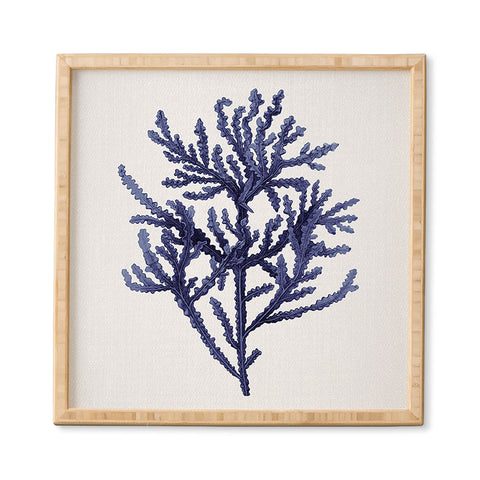 Gal Design Seaweed 8 Framed Wall Art