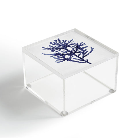 Gal Design Seaweed 8 Acrylic Box