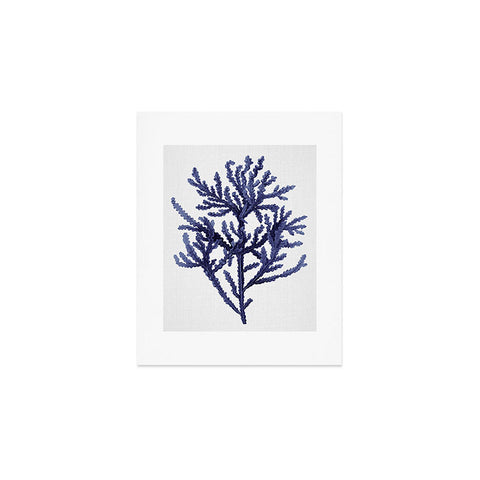 Gal Design Seaweed 8 Art Print