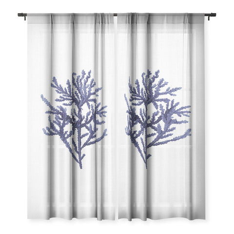 Gal Design Seaweed 8 Sheer Non Repeat