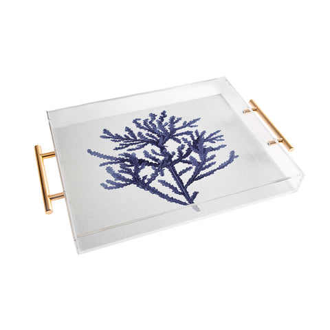 Gal Design Seaweed 8 Acrylic Tray
