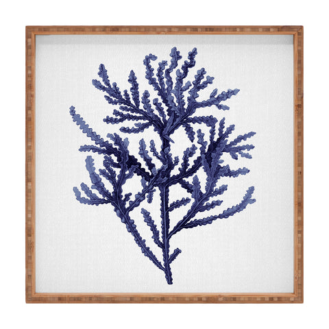 Gal Design Seaweed 8 Square Tray