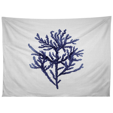 Gal Design Seaweed 8 Tapestry