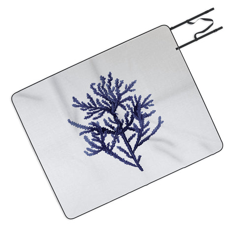 Gal Design Seaweed 8 Picnic Blanket