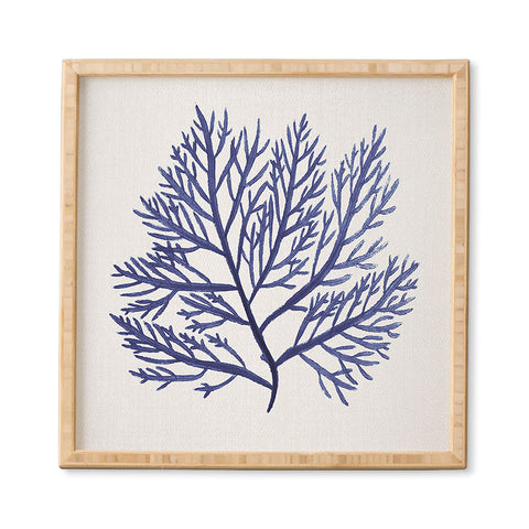 Gal Design Seaweed 9 Framed Wall Art