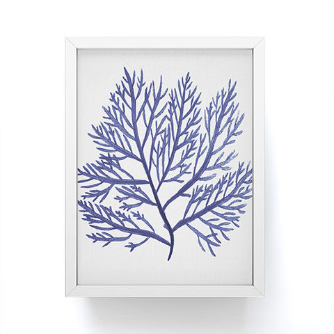Gal Design Seaweed 9 Framed Mini Art Print