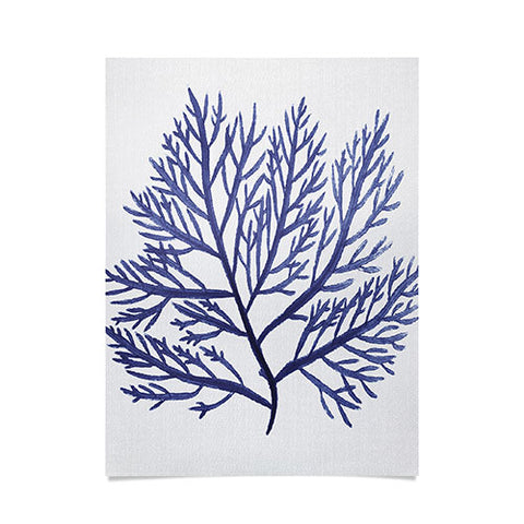 Gal Design Seaweed 9 Poster