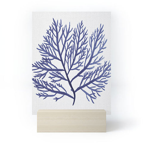 Gal Design Seaweed 9 Mini Art Print