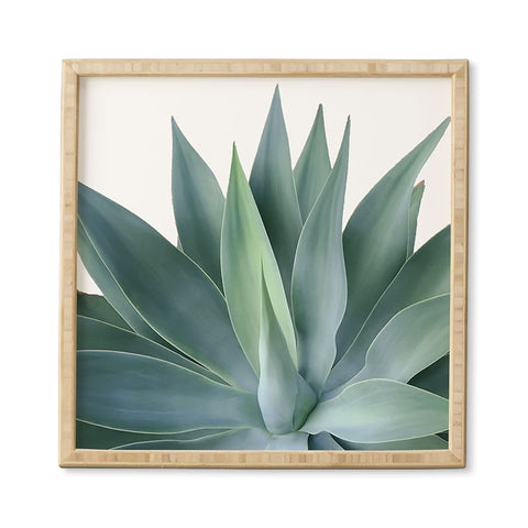 Gale Switzer Agave Blanco Framed Wall Art