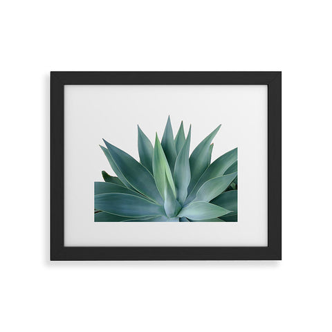 Gale Switzer Agave Blanco Framed Art Print