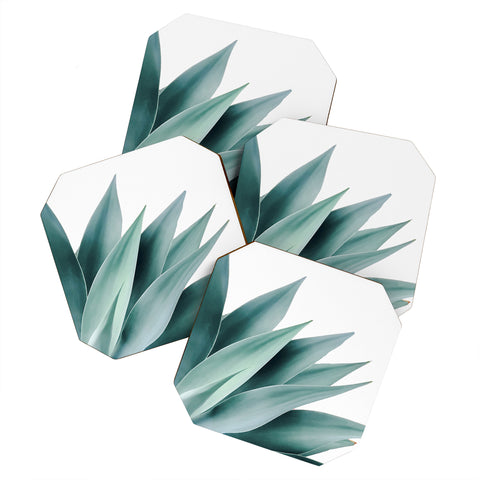 Gale Switzer Agave Flare II Coaster Set