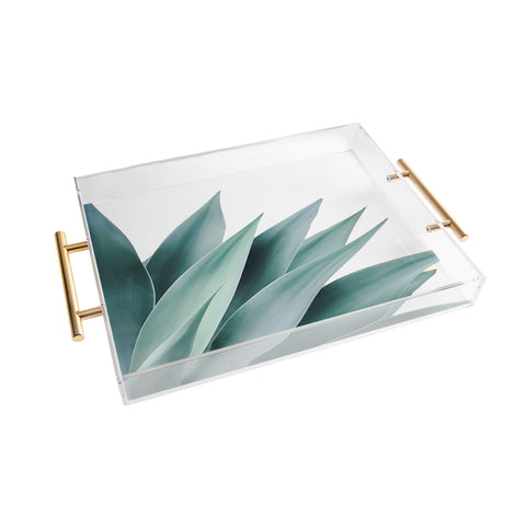 Gale Switzer Agave Flare II Acrylic Tray