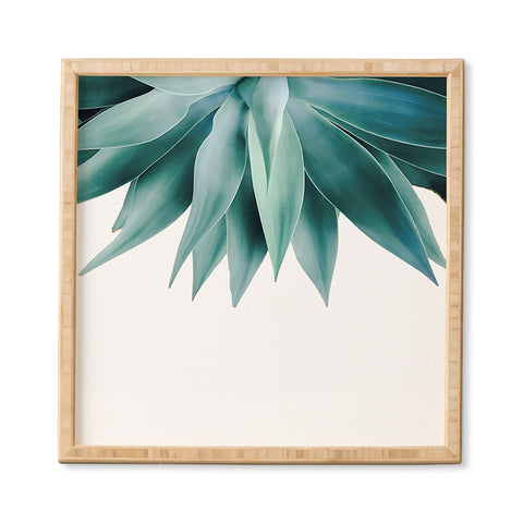 Gale Switzer Agave fringe Framed Wall Art