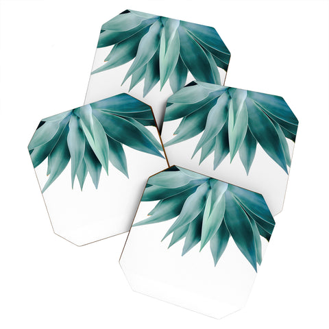 Gale Switzer Agave fringe Coaster Set