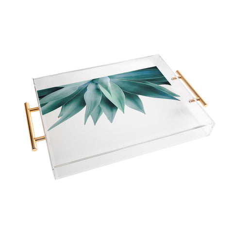 Gale Switzer Agave fringe Acrylic Tray