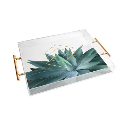 Gale Switzer Agave geometrics Acrylic Tray