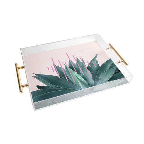 Gale Switzer Agave Geometrics II pink Acrylic Tray